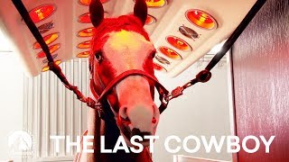 Meet the Horses  The Last Cowboy  Paramount Network