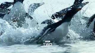 Atlantic The Wildest Ocean on Earth  Trailer  BBC Two