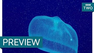 Unusual jellyfish   Natures Weirdest Events Series 5 Episode 6 Preview  BBC Two