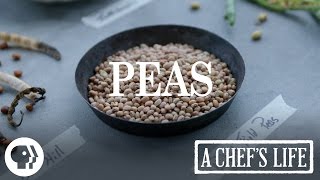 Peas  A Chefs Life  PBS Food