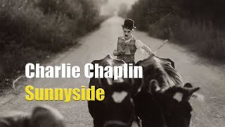 Charlie Chaplin misplaces a herd of cattle  Clip from Sunnyside 1919