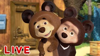  LIVE STREAM  Masha and the Bear  Its great to be a kid 