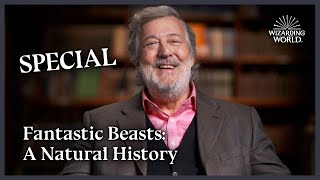 Fantastic Beasts A Natural History With Stephen Fry  Wizarding World