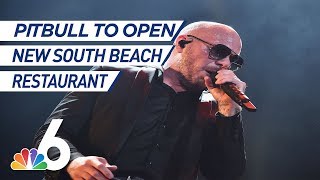 Rapper Pitbull to Open New Restaurant on South Beach  NBC 6