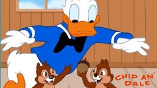 Chip an Dale 1948 Disney Donald Duck  Cartoon Short Film