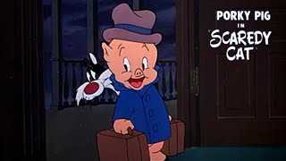 Scaredy Cat 1948 Looney Tunes Porky Pig  Sylvester Cartoon Short Film