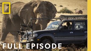 Desert Full Episode  Secrets of the Elephants  Executive Produced by James Cameron