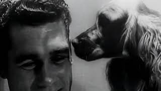 Day of the Fight Stanley Kubrick USA 1951 Full Film Pelcula Completa Subtitulada