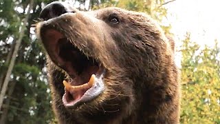 GRIZZLY II REVENGE Finished Film Trailer 2020 George Clooney Bear Horror