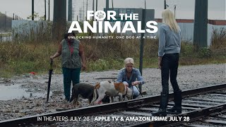 FOR THE ANIMALS OFFICIAL TRAILER  a powerful documentary about the stray animal crisis