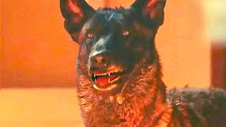 PREY Official Trailer 2020 Killer Dog Horror