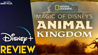 Magic Of Disneys Animal Kingdom Disney Review