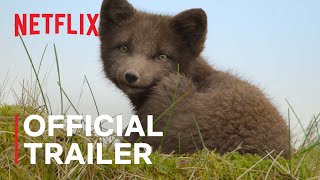 Wild Babies  Official Trailer  Netflix