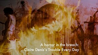 A horror in the breach Claire Deniss Trouble Every Day