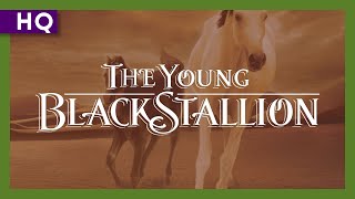 Young Black Stallion 2003 Trailer