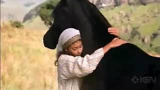The Young Black Stallion 2003  Theatrical Trailer