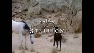 The Young Black Stallion 2003  DVD Trailer