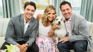 Love at the Shore satr Peter Porte and Happy the Dog  Hallmark Channel