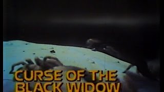 The ABC Friday Night Movie  Curse of the Black Widow  WLSTV Opening  Break 1977