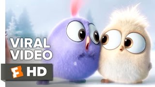 The Angry Birds Movie VIRAL VIDEO  Seasons Greetings from the Hatchlings 2016  Movie HD