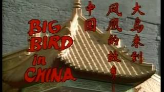 Big Bird in China 1983