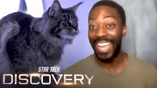 David Ajala Explains What Its Like Working With Grudge The Cat  Star Trek Discovery