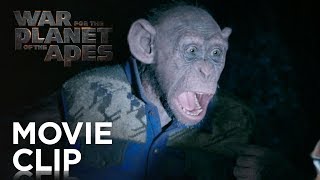 War for the Planet of the Apes  Bad Ape and Maurice Clip  20th Century FOX