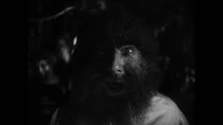 HuntedTv Island of Lost Souls 1932  Part man Part beast THINGS
