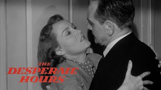 The Desperate Hours Original Trailer William Wyler 1955