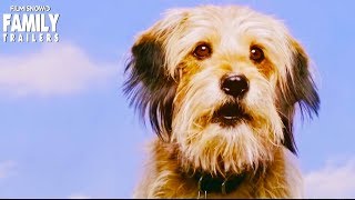 BENJI  Everyones favorite furry hero is back in New Trailer for Netflix Family Film