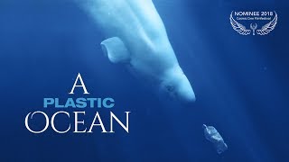 A PLASTIC OCEAN  Trailer Deutsch HD