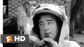 Abbott and Costello Meet the Mummy 1955  Snake Charmer Scene 210  Movieclips