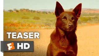 Red Dog True Blue Official Teaser Trailer 1 2016  Jason Isaacs Levi Miller Movie HD