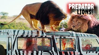 Prey 2007 FilmMovie Explained In Hindi  Urdu  Lion Movie Summarized Hindi