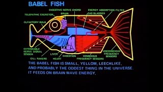 Babel Fish  The Oddest Thing In The Universe  The Hitchhikers Guide To The Galaxy  BBC