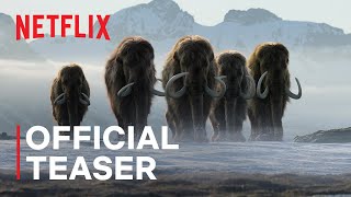 Life on Our Planet  Official Teaser  Netflix