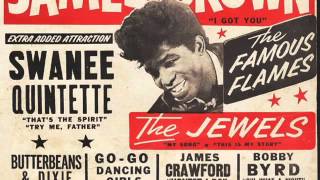 Mr Dynamite The Rise Of James Brown Documentary official Trailer