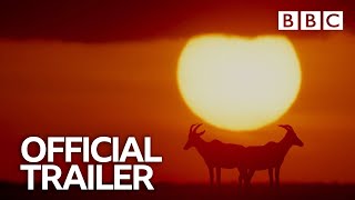 The Mating Game  David Attenborough  Trailer  BBC