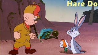 Hare Do 1949 Merrie Melodies Bugs Bunny and Elmer Fudd Cartoon Short Film