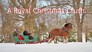 A Royal Christmas Crush 2023 Lovely Romantic Hallmark Trailer