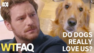 Do dogs really love their owners  WTFAQ  ABC TV  iview