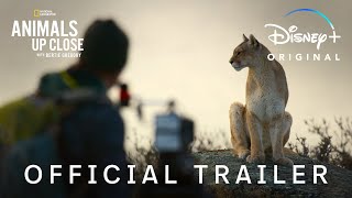 Animals Up Close with Bertie Gregory  Official Trailer  Disney