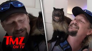 Crystal The Monkey At LAX  TMZ TV