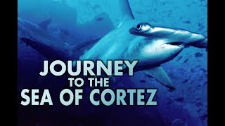 Trailer Journey To The Sea Of Cortez by Thomas Lucas 2010