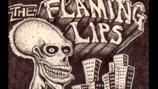 The Flaming Lips The Fearless Freaks  Trailer