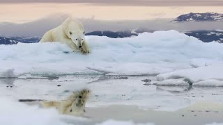 Frozen Planet II  Official Trailer  New Attenborough Series  BBC Studios