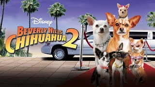 Beverly Hills Chihuahua 2 2011 Disney Film Sequel