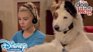 10 Throwbacks from Dog With A Blog  Disney Channel UK