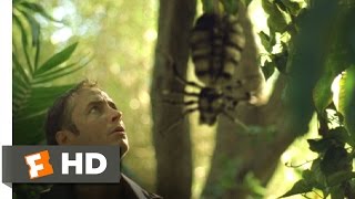 King of the Lost World  Giant Jungle Spider Scene 310  Movieclips