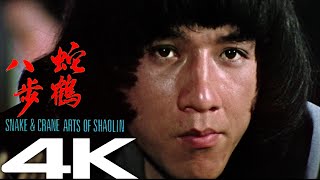 Jackie Chan Snake and Crane Arts Of Shaolin 1978 in 4K  Restaurant Scene